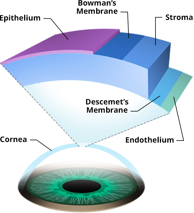 cornea-center-milan-eye-center